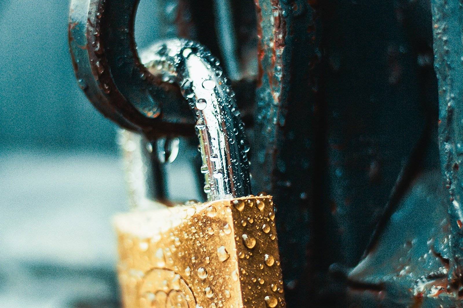 wet golden padlock attached to a rusted lock