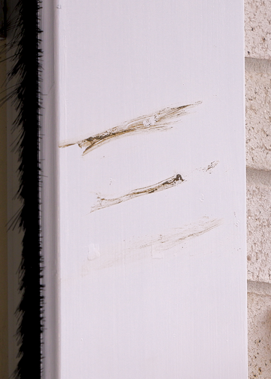 DIGGERS™ Wall Cleanup - Image 4