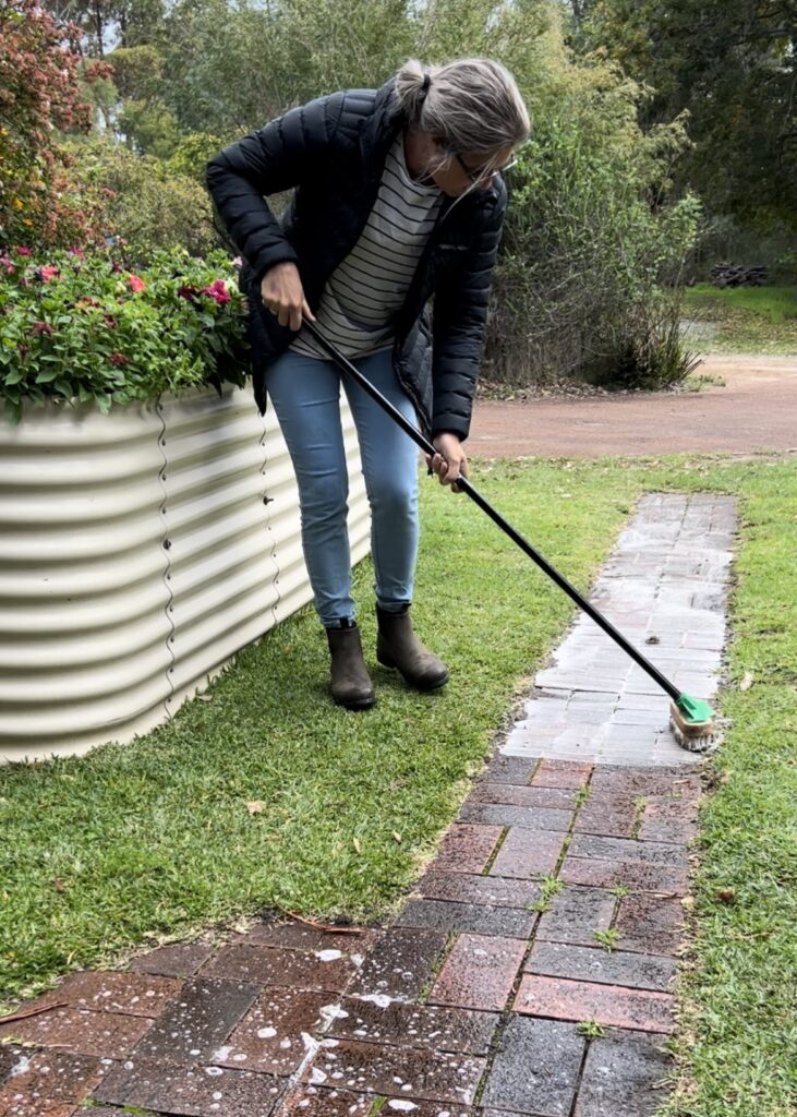Clean your pathways with DIGGERS™ Driveway Cleanup – no pressure hose needed!